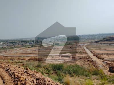 DHA