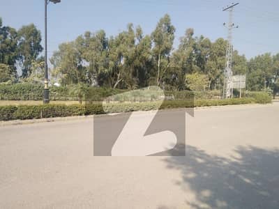 آئی