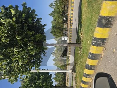Gulberg