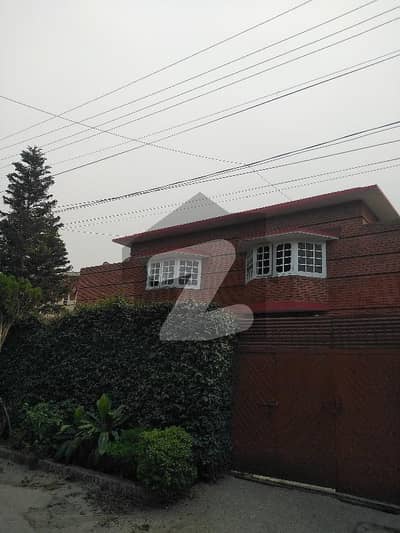 حیات