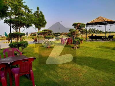 10-Marla File For Sale in Sector-H Plot # in 300 series DHA Peshawar | Investment Opportunity 10-Marla File For Sale in Sector-H Plot # in 300 series DHA Peshawar | Investment Opportunity