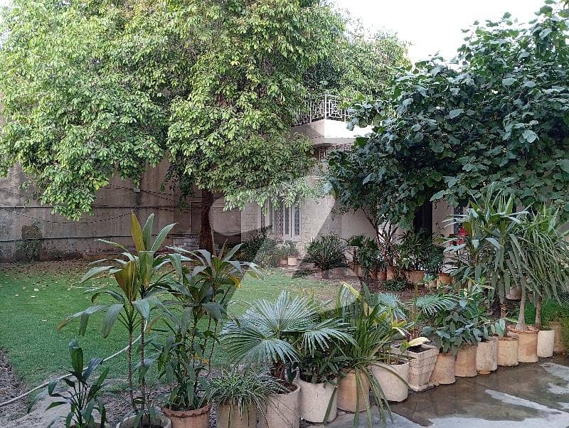 33 Marla Very Prime Location Single Storey Decent House Available For Rent Civil Lines 33 Marla Very Prime Location Single Storey Decent House Available For Rent Civil Lines