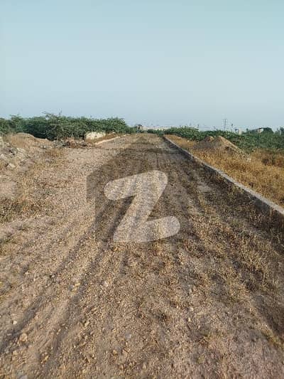 ریڈیو