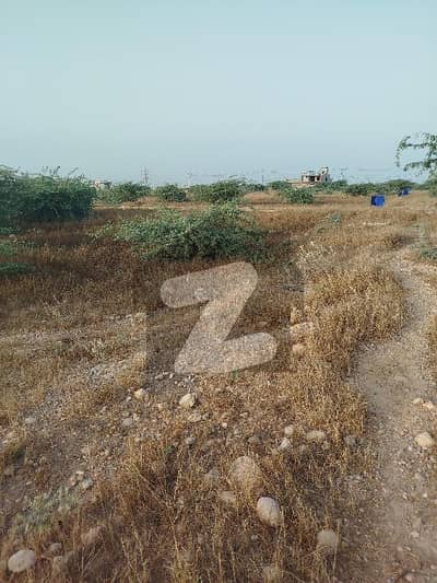 ریڈیو