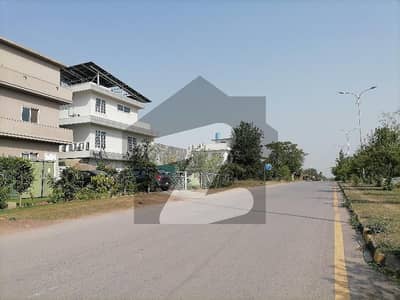 5 Marla Residential Plot In D-12/1 For sale At Good Location