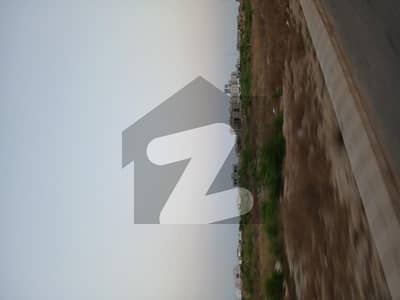 ڈی