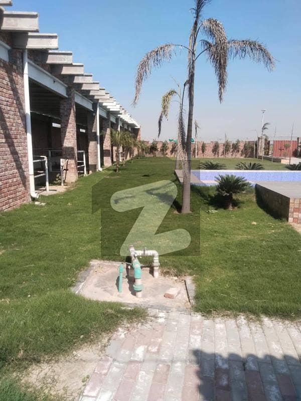 3.15 Kanal Dairy Farm with Swimming Pool Ideal Farmhouse Living 3.15 Kanal Dairy Farm with Swimming Pool Ideal Farmhouse Living