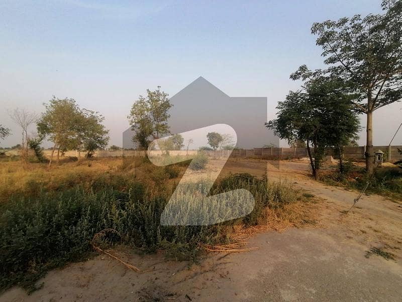 Plot For Sale Plot For Sale