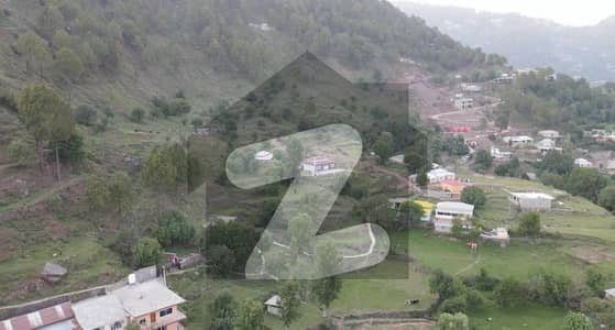 Own a Scenic 3.5 Marla Plot in the Heart of Nature! Islamabad-Murree Expressway Masyari