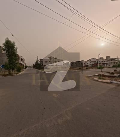 میرٹھ