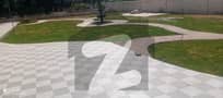 20 