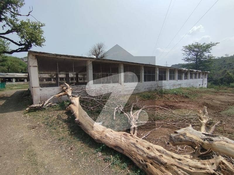 Poultry Barracks With Open Space. Poultry Barracks With Open Space.