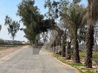 گورنمنٹ