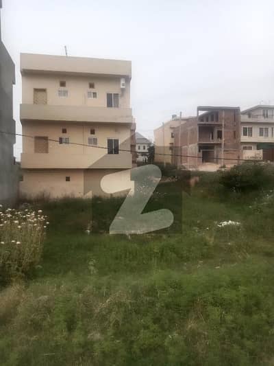 25x50