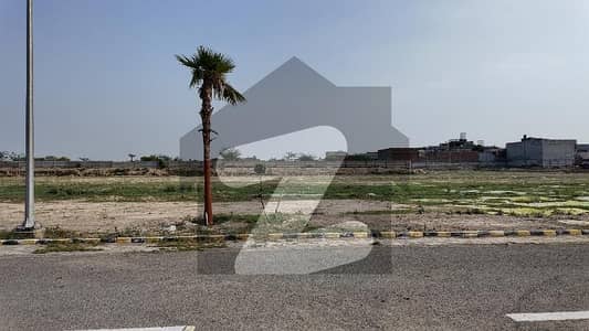 پیراگون