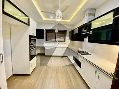 Brand New Facing Lake Apartment Available For Rent