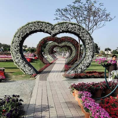 1 KANAL PAIR OF PLOTS FOR SALE ON WIDE ROAD
