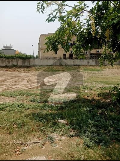 ڈی