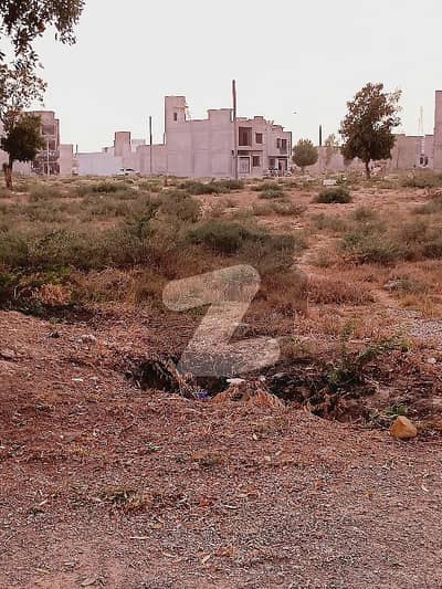 سعدی