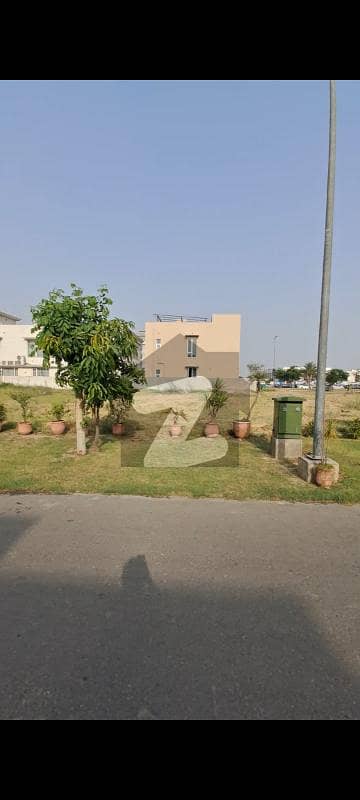 Plot