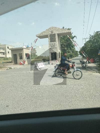 سی