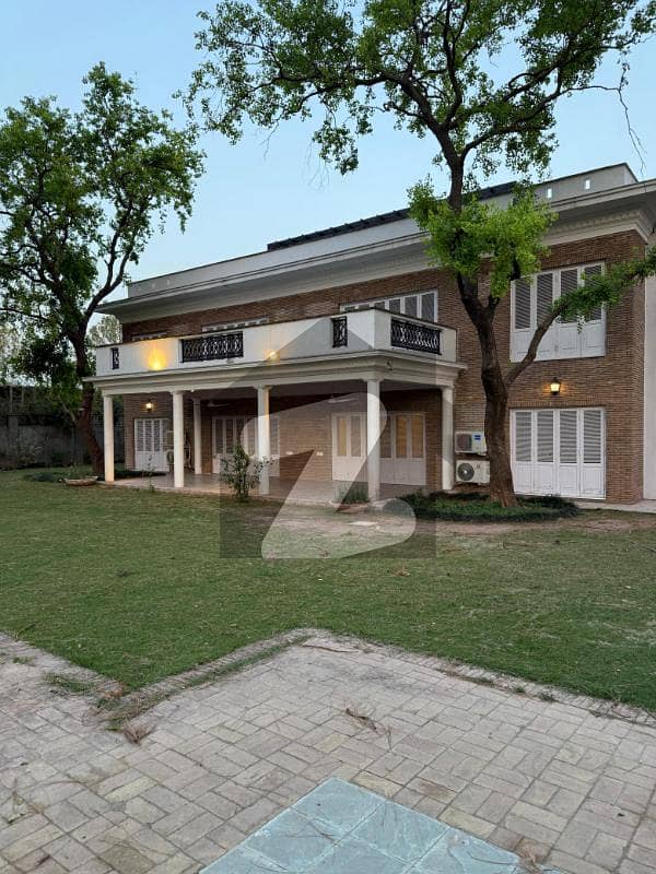 House for Rent with big Lawn House for Rent with big Lawn