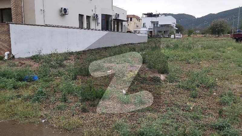 35x70 Top Location Beautiful Plot For Sale 35x70 Top Location Beautiful Plot For Sale