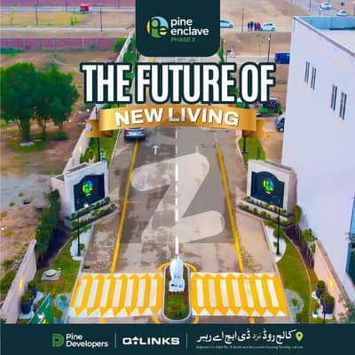 پائن