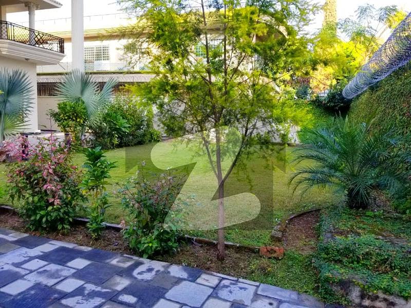 666 SQYD Prime Location Old House is for SALE 666 SQYD Prime Location Old House is for SALE