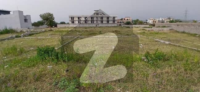 بنی