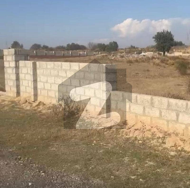 Get Your Hands On Farm House In Chakbeli Road Best Area Get Your Hands On Farm House In Chakbeli Road Best Area