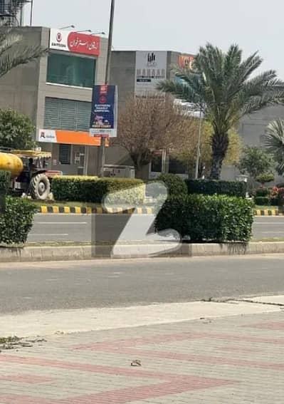 نیو