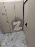 20 