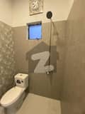 20 
