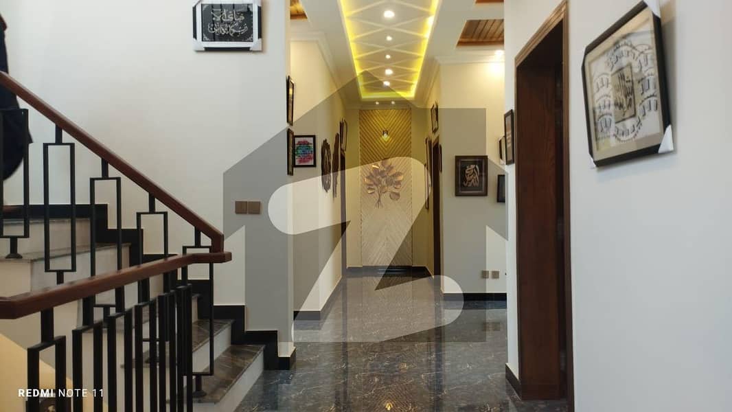 D-12 Nice Double Story Furnished House For Rent D-12 Nice Double Story Furnished House For Rent