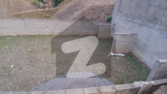 بالقیاز