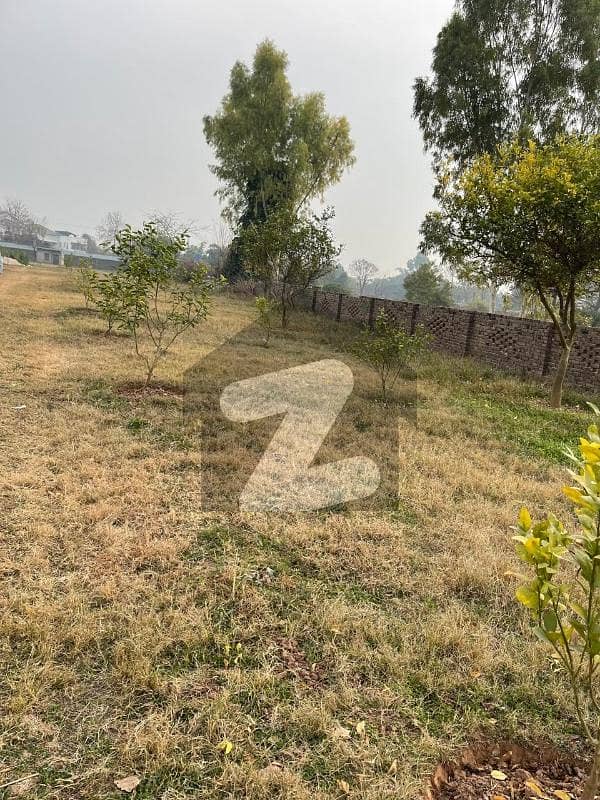 آرچرڈ سکیم اسلام آباد میں 1 کمرے کا 20 کنال فارم ہاؤس 10.5 ارب میں برائے فروخت۔ آرچرڈ سکیم اسلام آباد میں 1 کمرے کا 20 کنال فارم ہاؤس 10.5 ارب میں برائے فروخت۔