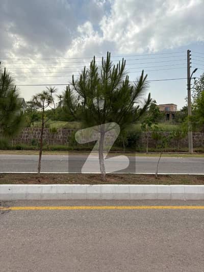 Premier Immediate Possession Plot 2,500 Sq. Yds in Sector C