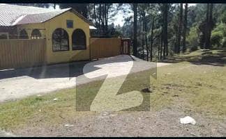 A Stunning Residential Plot Is Up For Grabs In Patriata Murree A Stunning Residential Plot Is Up For Grabs In Patriata Murree