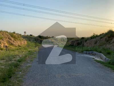 بی