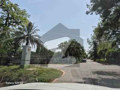 ایف