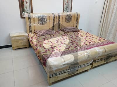 F-11- Furnished House Available For Rent