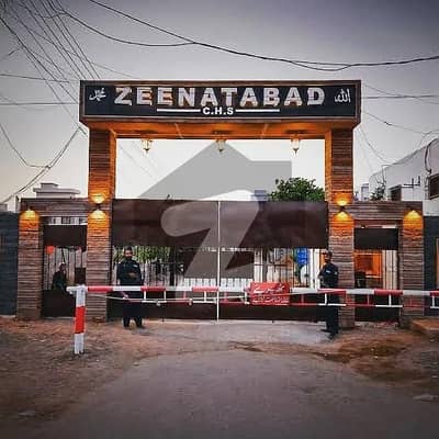 زینت