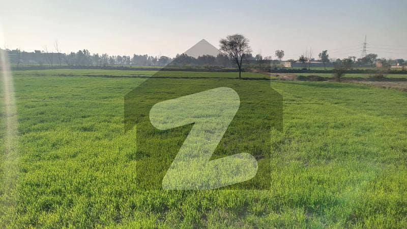 124 Kanal Agriculture and Commercial Land Available in Kasur Burj Road, Gandha Singh 124 Kanal Agriculture and Commercial Land Available in Kasur Burj Road, Gandha Singh