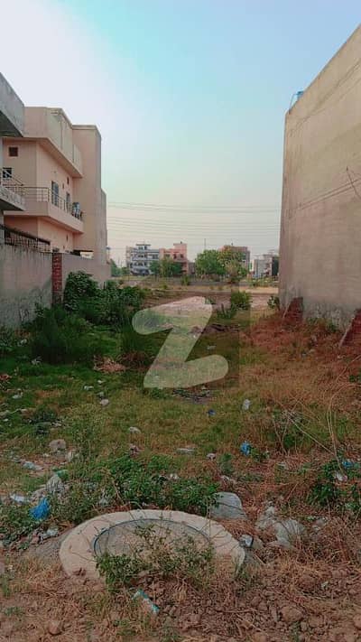 جوبلی