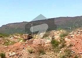 Sector D Elevated, Immediate Possession Plot 2,500 Sq. Yds Sector D Elevated, Immediate Possession Plot 2,500 Sq. Yds