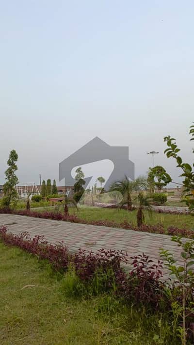 معراج