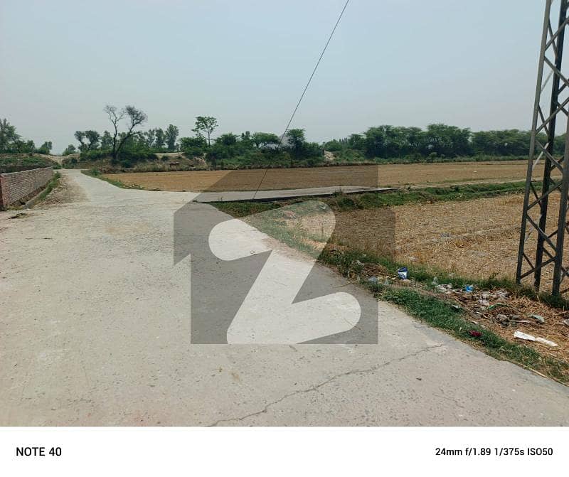 40 Kanal Agricultural Land For Sale 40 Kanal Agricultural Land For Sale