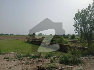 Premium Agricultural Land For Sale West Canal Road Faisalabad