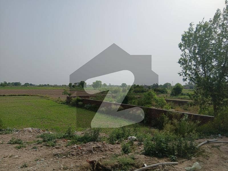Premium Agricultural Land For Sale West Canal Road Faisalabad Premium Agricultural Land For Sale West Canal Road Faisalabad